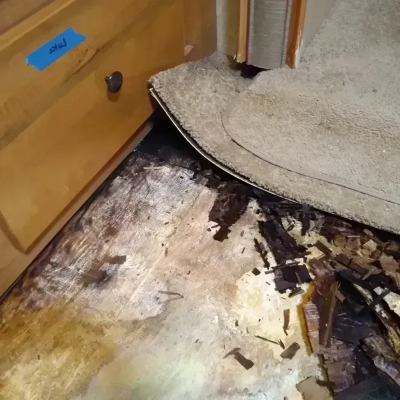 Wood Floor Water Damage in Homer Glen, IL